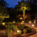 Right Landscape Lighting