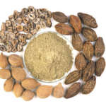 Andrographis Extract