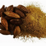 Terminalia Chebula Extract