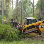 When Is the Best Time of Year for Lot Clearing
