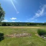 brush clearing services in Winchester