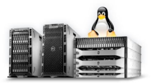 Dedicated Servers In Pakistan