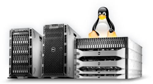 Dedicated Servers In Pakistan
