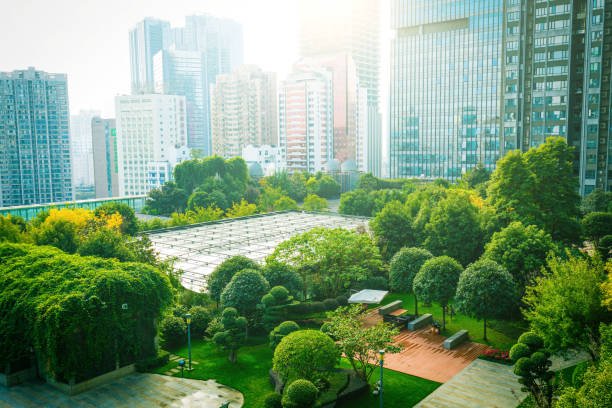 Real Estate Advisory Services