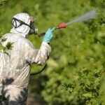 Pesticide Control