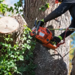 Tree Care Services