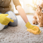 How Pet Stain And Odor Remover Makes Cleaning Easier