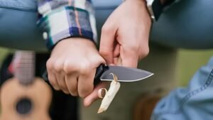 How Sharp Blades Make Everyday Work Easier