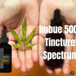 CBD Tincture for Dogs