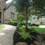 Landscaping Services in Austin Texas