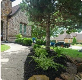 Landscaping Services in Austin Texas