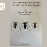 Making Sense of the Order Beetle Taxonomy for Collectors