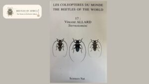Making Sense of the Order Beetle Taxonomy for Collectors