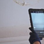 Mold Testing Service