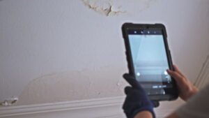Mold Testing Service