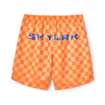 SLB066-6005_BACK