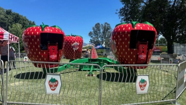 What Makes Guests Stop, Watch, and Line Up for a Carnival Ride