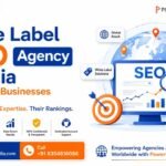 White Label SEO Agency in India