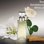 Calvin Klein Women Eau De Parfum at Debenhams – Save Up to 50% Off