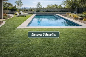 Custom swimming pool construction