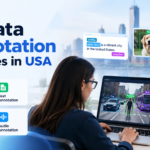 AI Data Annotation Services in USA