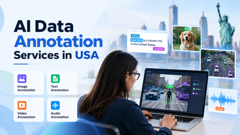 AI Data Annotation Services in USA