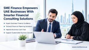 Business Finance Consultant UAE
