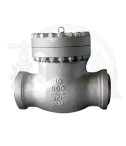 Check Valve Manufacturer in Mumbai