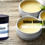 1600mg Hemp CBD Salve