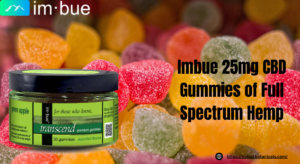 25mg CBD Gummies