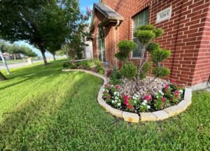 Landscape Installation in Austin