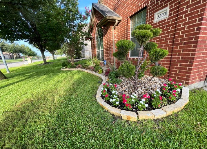 Landscape Installation in Austin
