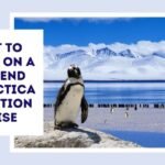 What To Expect On A High-End Antarctica Expedition Cruise