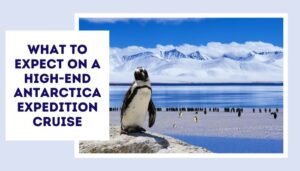 What To Expect On A High-End Antarctica Expedition Cruise