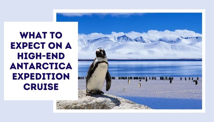 What To Expect On A High-End Antarctica Expedition Cruise