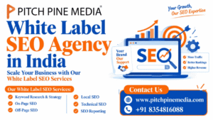 White Label SEO Agency in India
