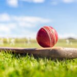 cricket