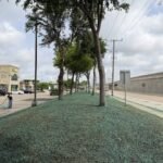 residential hydroseeding near me