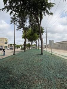 residential hydroseeding near me