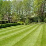 Lawn care trophy club TX
