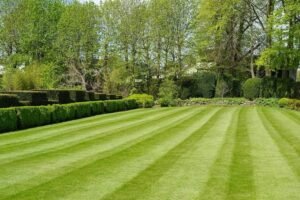 Lawn care trophy club TX