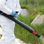 Fumigation For Mosquito Control