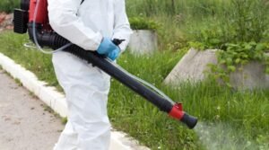Fumigation For Mosquito Control