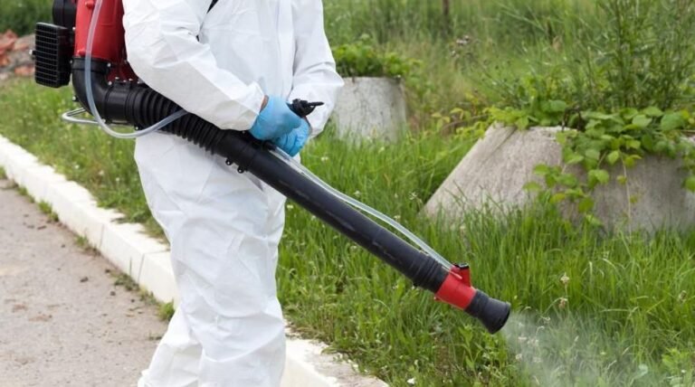 Fumigation For Mosquito Control